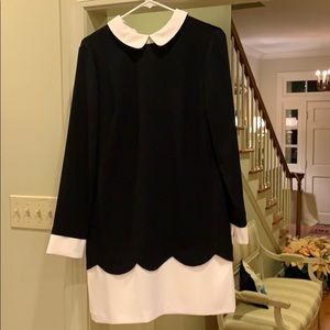 CeCe black and white dress